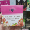 Night Cream Radiance Skin